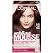 L'Oreal Paris Sublime Mousse by Healthy Look Hair Color, 56 Spicy Auburn Brown