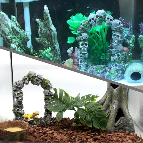 Image of relaqcc Aquarium Skull Cave Rocks, Reptile Tank Accessories, Fish Tank Decorations for Amphibians, Betta Fish, Shrimp, Hermit Crab, Leopard Gecko