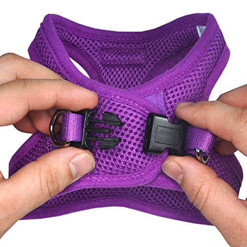 Downtown Pet Supply - Dog Harness for Small Dogs No-Pull - Step in Dog Harness - Padded Mesh Fabric Dog Vest with… - Image 7