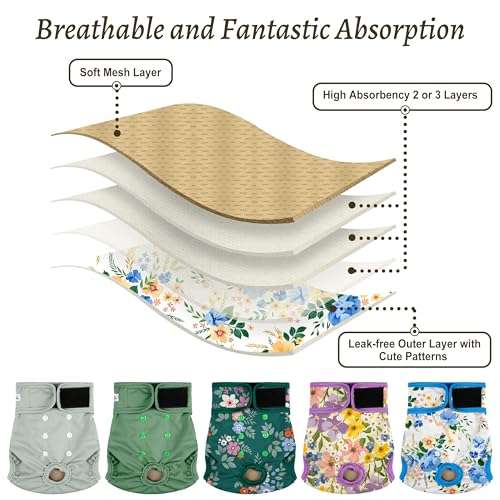 Image of Washable Female Dog Diapers (5 Pack) - Doggie Reusable Small Medium Large Dog Diapers for Doggy Puppy Female in Period - Highly Absorbent Dog Heat Panties,S Plus,Green
