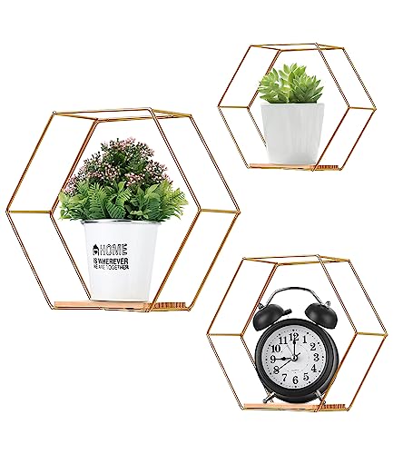 Liesun Juego de 3 estanterias, baldas Pared hexagonales para baño, casita
