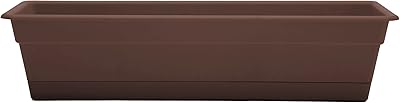 Bloem Dura Cotta Window Box Planter w/Tray, 24