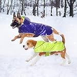 Waterproof Dog Raincoat, Reversible Rain Jacket with Hood, Small (Yellow Green/ Blue), for Small Breeds, Lightweight & Comfortable