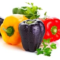 L'ensemble de nos semences passent à travers un processus en quatre étapes de contrôle qualité. Étape une consiste en soigneusement sélectionner les producteurs ainsi que de contrôler leurs récoltes, y compris les producteurs étrangers. Les plantes n...