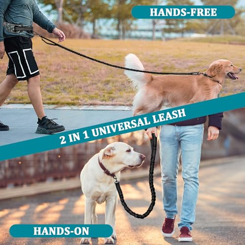 Philorn Joggingleine Hunde, Freihändig Laufleine, Bauchgurt Hundeleine zum Joggen Laufen Wandern mit Dual Griffe, Reflektierende Nähte (Schwarz)