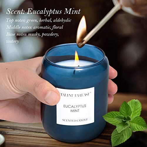 Relaxing Jar Candle Eucalyptus Mint Scented For Home 8.8 Oz Aromatherapy Glass Candles 35H Luxury Gift Natural Soy Wax Premium Fragrance Bedroom / Bathroom / Kitchen For Women And Men #TOP2