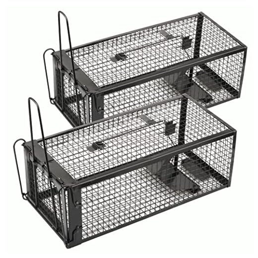 Anyhall 2-Pack Rat Traps Humane Live Mouse Vole Chipmunk Trap Cage for Indoors and Outdoors (Black)