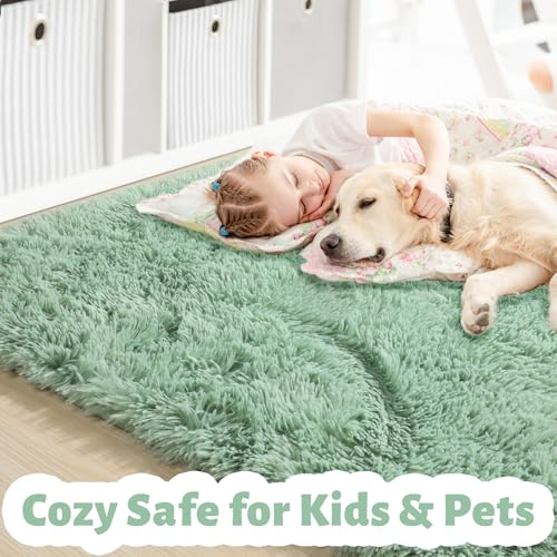 Amdrebio Sage Green Area Rugs for Bedroom Aesthetic, Fluffy Furry Rugs for Nursery, Classroom, Teen Boys, Baby Kids Room Decor, Cute Shaggy Carpet for Living Room Dorm, Fuzzy Plush Light Mint Rug 4x6