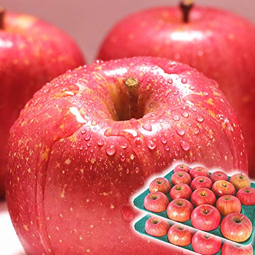 りんご 10kg箱 サンふじ ご家庭用 青森 10キロ箱 林檎 りんご 10kg箱 サンふじ ご家庭用 青森 10キロ箱 林檎
