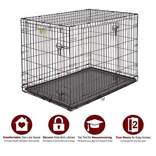 Large Dog Crate 1542DDU MidWest ICrate Double Door Folding Metal Dog