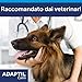 Adaptil Halsband, Größe S