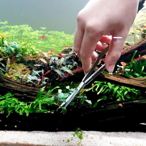 Image of LINLAN Aquatic Plant Spring Scissors for Precise Trimming, Stainless Steel with Top Rebound Feel, Ideal for Aquatic Ferns and Microsorum Pteropus in Planted Tanks