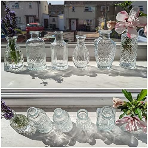 Glass Vase for Flowers Set of 6, Clear Sweet Pea Small Glass Vase, Mini Bud Vases in Bulk for Table Decoration Centerpieces Home Wedding Decor