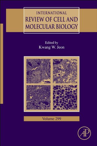 International Review of Cell and Molecular Biology (English Edition ...