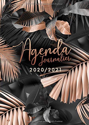 Télécharger Agenda 2020 2021: 18 mois journalier 2020-2021 - format A5 - juillet 2020 à décembre 2021 - planif Francais PDF