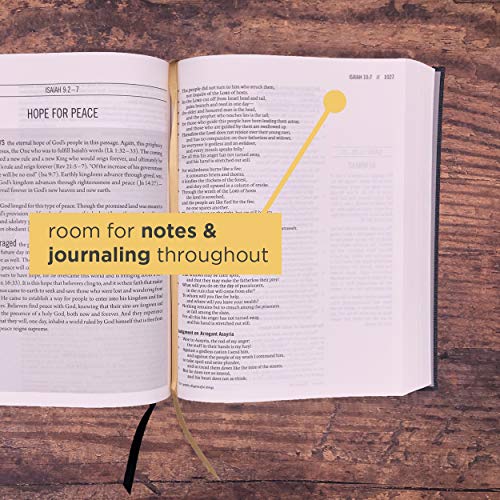 The Jesus Bible, ESV Edition, Cloth over Board, Gray - Image 5