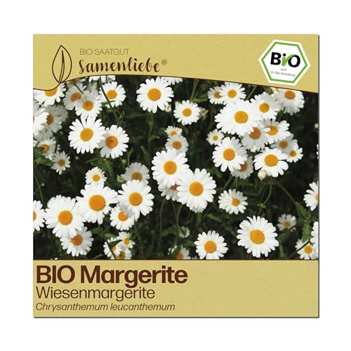 Samenliebe BIO Margeriten Samen | Wiesenmargerite - winterhart & mehrjährig - samenfestes BIO Saatgut
