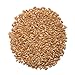 1000 SPRINGS MILL - Organic Hard Red Spring Wheat Berries - Used for Organic Flours, Cereals, Salads, and Whole Wheat Breads - Organic Sprouting Seeds - Bulk Dried Grain - Resealable Bag - 16oz (Pack of 4)
