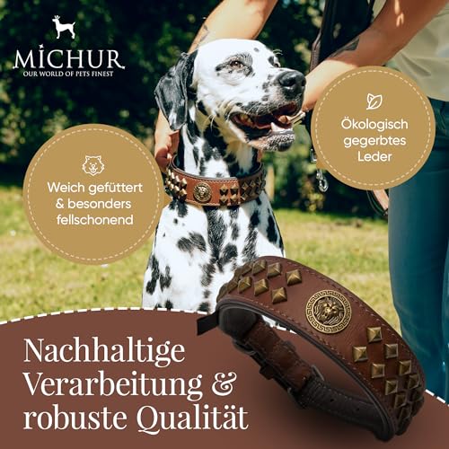 MICHUR Diego Braun 1. Wahl !! Hundehalsband Leder Lederhalsband Hund Halsband Löwenkopf Nieten Messing Optik Braun Gold