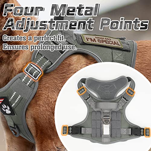 Rabbitgoo Tactical Dog Harness No Pull, Military Dog Vest Harness With Handle & Molle, Easy Control Dog Harness For Large Dogs Training Walking, Adjustable Reflective Pet Harness, Dark Grey, Xl #TOP2