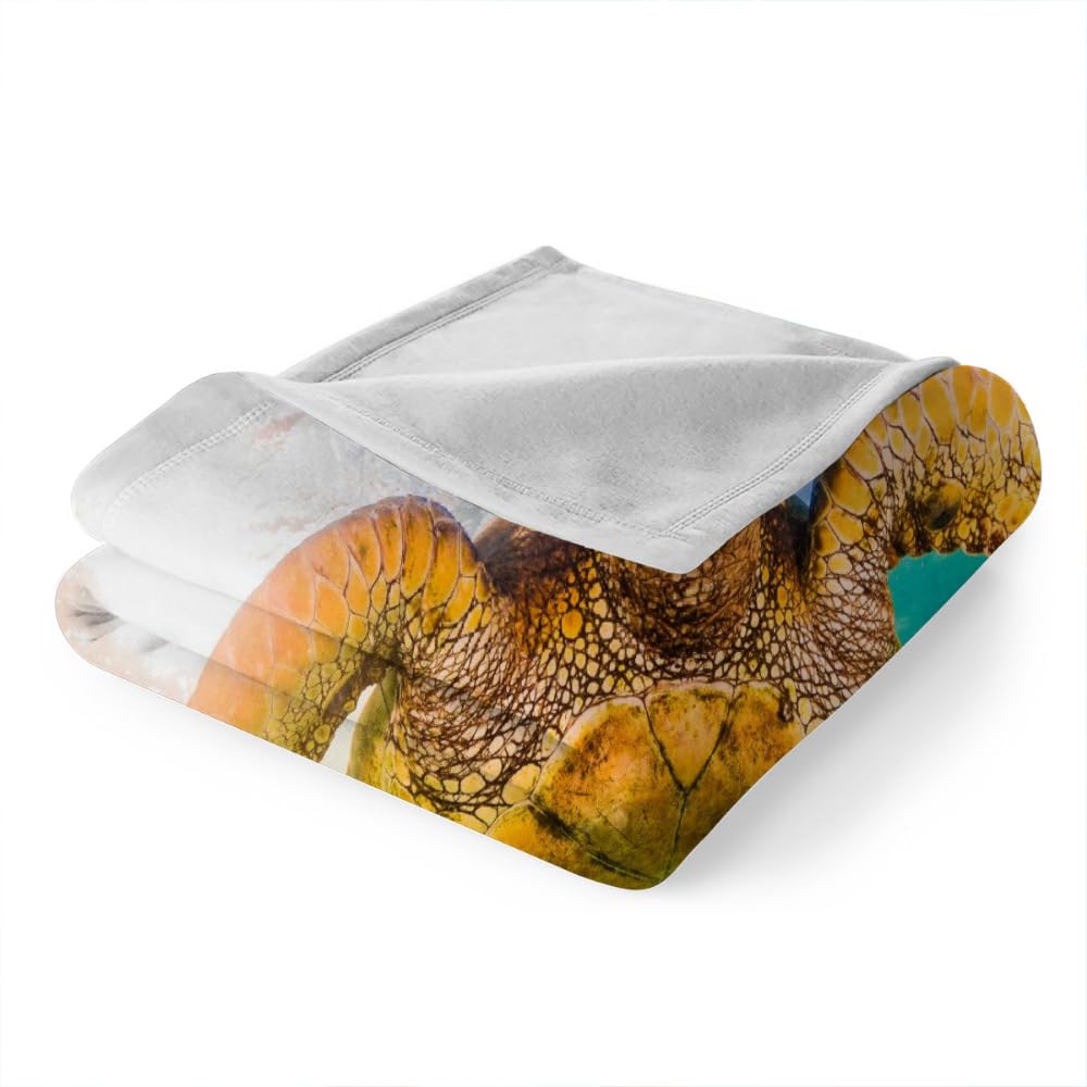 BNREDA Coperta con motivo di gatti, simpatici animali, morbida coperta in pile di flanella, per bambini e adulti (Gatti-1, 150x200cm