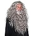 Skeleteen Grey Wig and Beard - Long Gray Wizard Wig and Beard Costume Accessory for Adults and Kids
