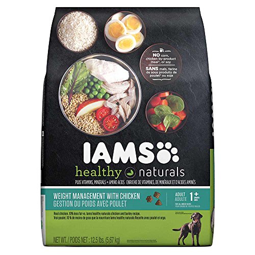 iams healthy naturals ocean fish dog food