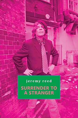 Cover of Surrender to a Stranger
