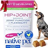 Native Pet Pain Relief for Dogs - Collagen for Dogs Promotes Joint Health, Reduce Inflammation & Stiffness - Senior Pup Joint Supplement - Natural Pain Reliever for Active & Aging Pets - 30 Chews