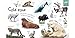 My First Zoo Let's Meet the Animals! (My First Tabbed Board Book)