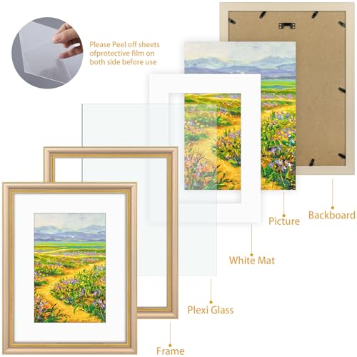 Image of Golden State Art,12x16 Ornate Picture Frame Holds 8x12 Photo,Champagne Gold | Includes plexiglass front,white mat,build-in hangers and buttons.Displays 8x12 photo on wall
