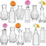 Kleine Glasvasen für Tischdeko Set 12er Vintage Vasen Set Mini Glasvase für Blumenarrangements, Dekorative Tischdekoration, Hochzeitsfeier zu Hause, Bad