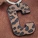 Fuerxy Initial Letter Keychain for Women, Fashion Leopard Print Letter Bag Charm for Handbags Bag Accessories PU Key Charms (Letter M)