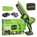 Greenworks 24V 6in Mini Chainsaw