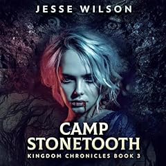 Camp Stonetooth cover art