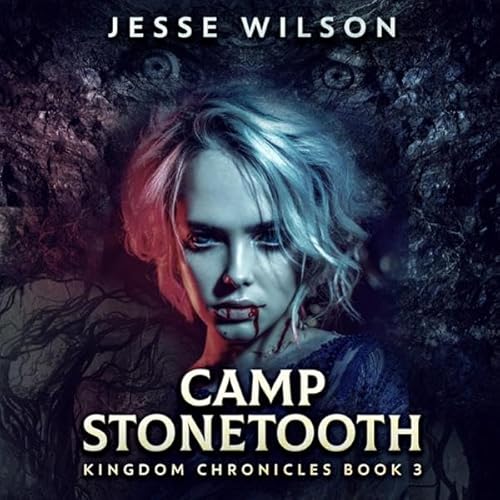 Camp Stonetooth Audiolivro Por Jesse Wilson capa