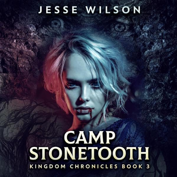 Cover art for Camp Stonetooth