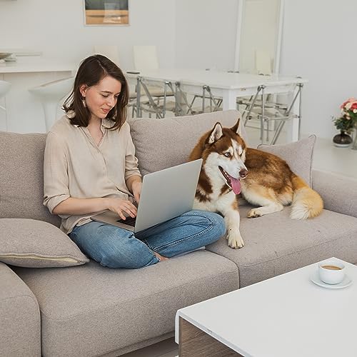 Ra Running Alien Couch Cushions Support For Sagging Seat 20"X 20"Insert Pads Supports Board Sofa Furniture Seat Cushion Under Sag Repair, Curved High Density Foam Replacement For Sectional Loveseat Chair Gray Set Of 3 thumb #1