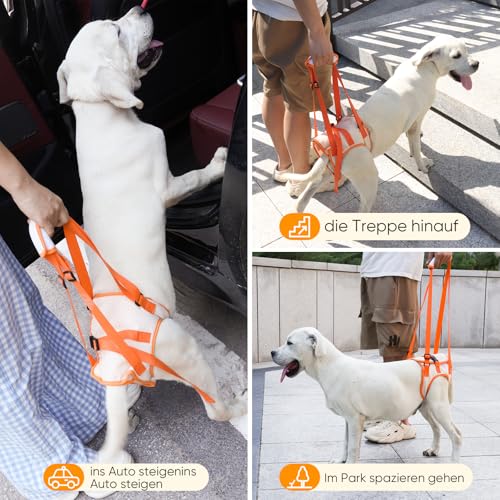 Tragehilfe Hund Groß, Hundegeschirr für Hinterbeine, Hundetrage für Hunde mit Verletzungen, nach Operationen oder Arthritis, Stabil & Atmungsaktiv, Einfach Anzulegen,Hunderollstuhl Alternative XL
