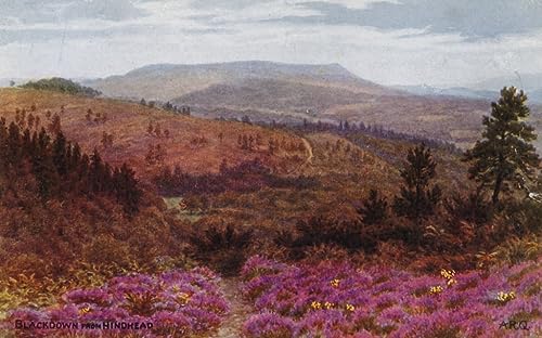 Impression d'affiche Blackdown de Hindhead par Alfred Robert Quinton sur toile art portrait 60x90cm