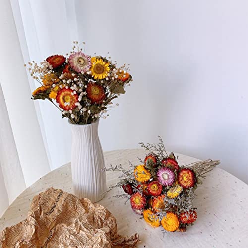 Ramo de flores secas naturales margaritas 40 pcs miniatura 5