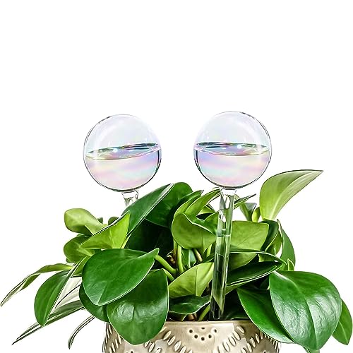 Koorabbee 2 Pcs Iridescent Glass Plant Watering Globes - 9 Inch Self Watering Planter Insert, Plant Watering Devices, Plant Watering Bulbs for Indoor and Outdoor Plants Accessories.