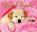 Pooped Puppies 2015 Boxed Calendar