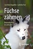  Füchse zähmen: Domestikation im Zeitraffer