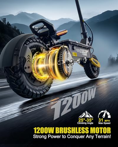 Off Road Electric Scooter for Adults, 1200W/2400W Motor E