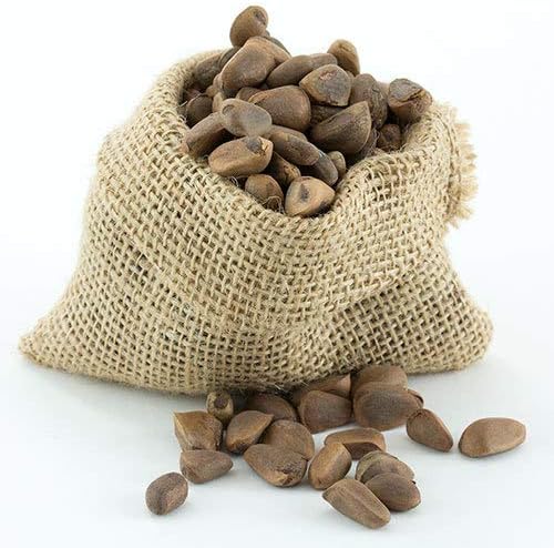 Great Companions Pine Nuts, Bird Treat- 5 lbs