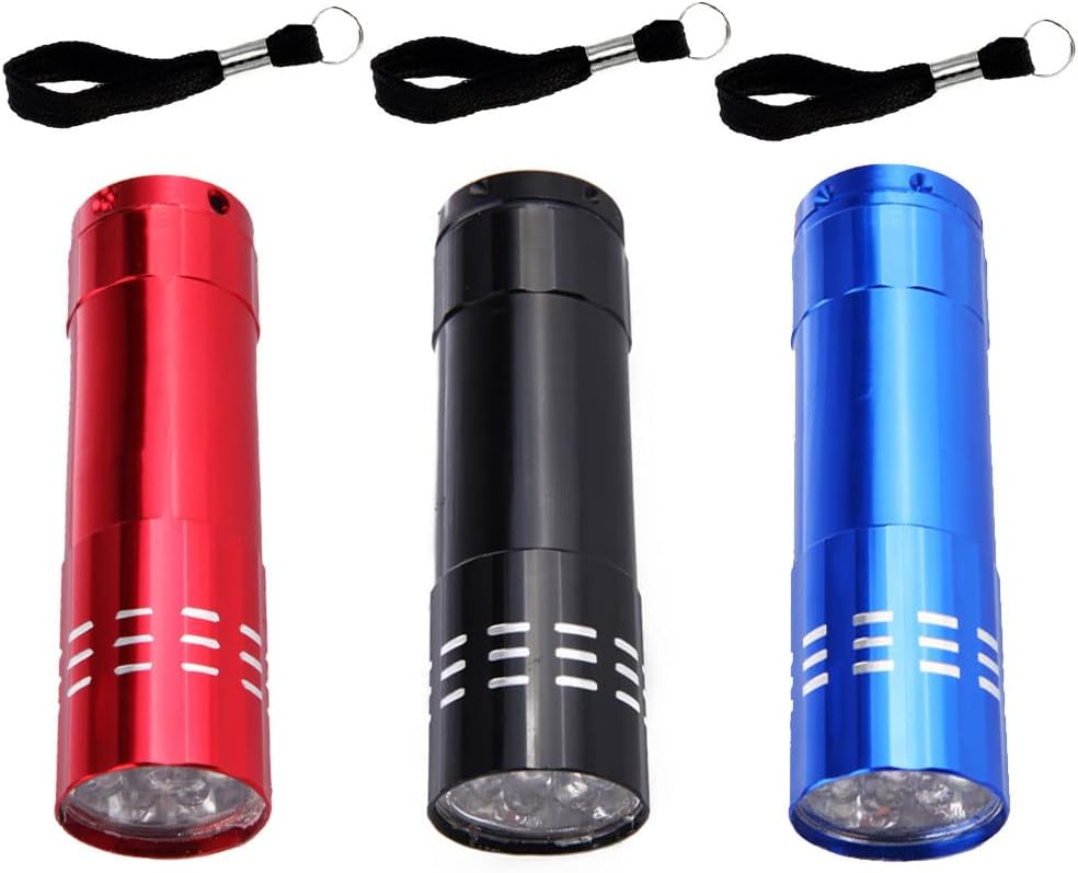 YYdsYQLQ 3 Pcs LED Mini Pocket Torch Small Flashlight Pen Small Keyring
