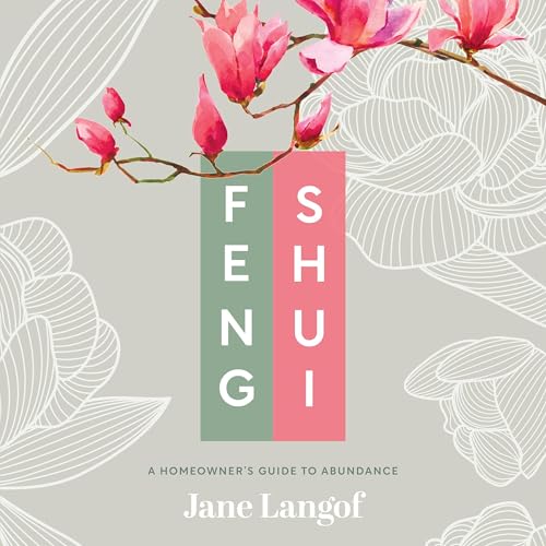 Feng Shui cover art