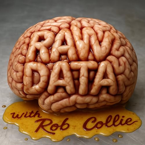 Is AI "Vibe Coding" the Next VBA? cover art