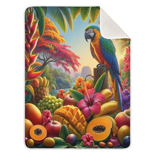Burbuja Tropical Fruits Flowers Parrot Baby Blanket for Boys Girls, Nursery Soft Warm Swaddling Receiving Baby Blankets, 30x40 in Toddler Blanket